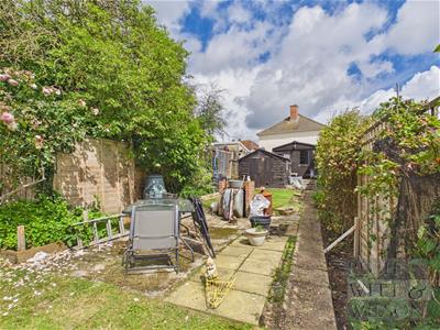 Picture 24